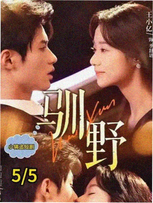 高校公开课合集封面